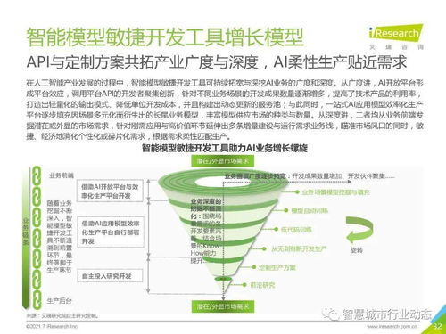 中国人工智能基础层行业报告（2021） 基础软件开发的创新、挑战与未来
